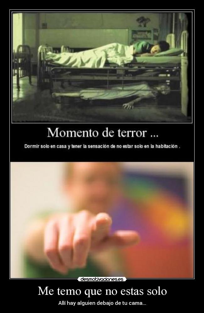 Me temo que no estas solo - 