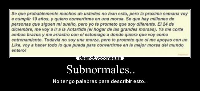 Subnormales.. - No tengo palabras para describir esto...