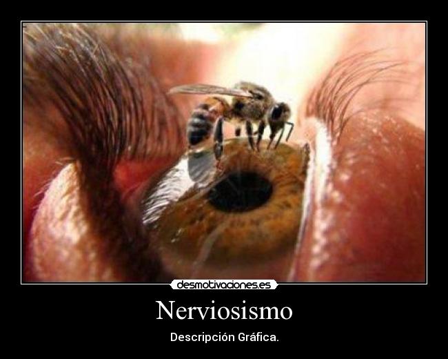 Nerviosismo - Descripción Gráfica.