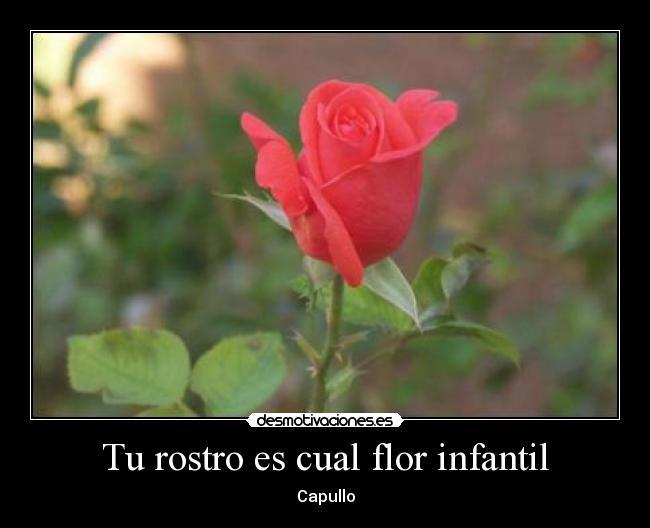 Tu rostro es cual flor infantil -