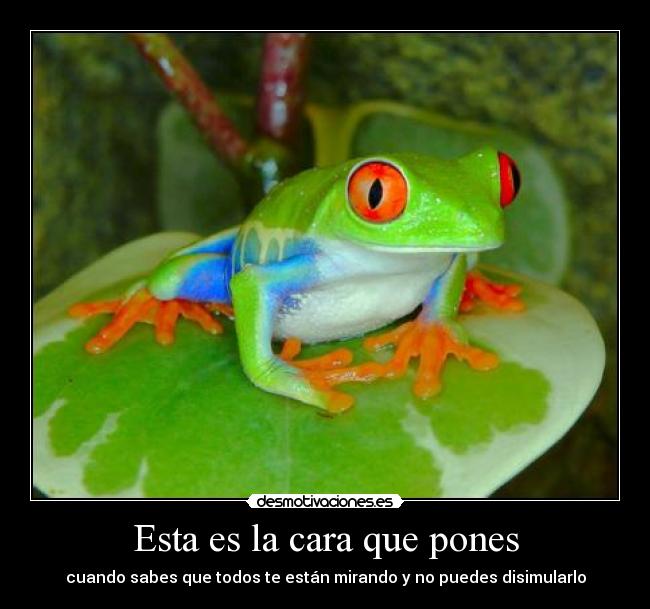 Esta es la cara que pones -