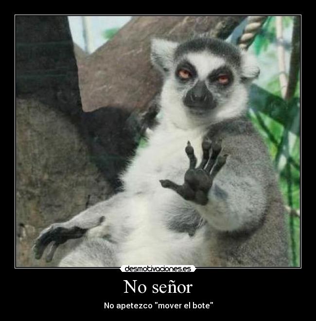 No señor - 