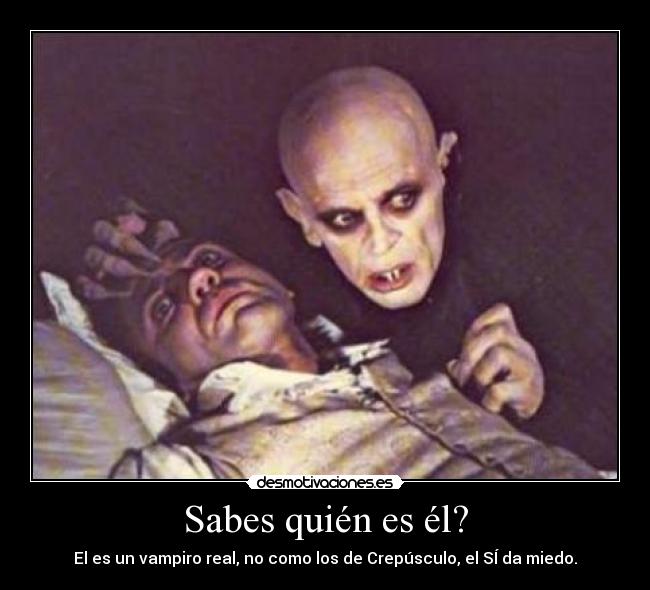 Sabes quién es él? - El es un vampiro real, no como los de Crepúsculo, el SÍ da miedo.