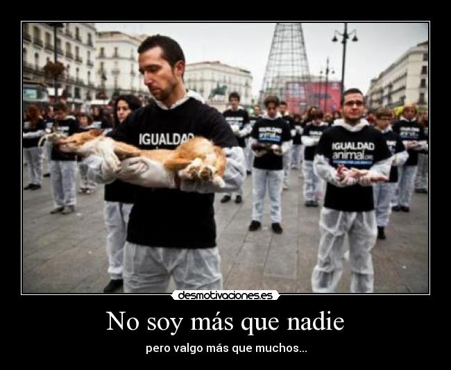 No soy más que nadie - 