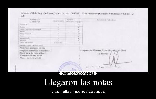 Llegaron las notas -