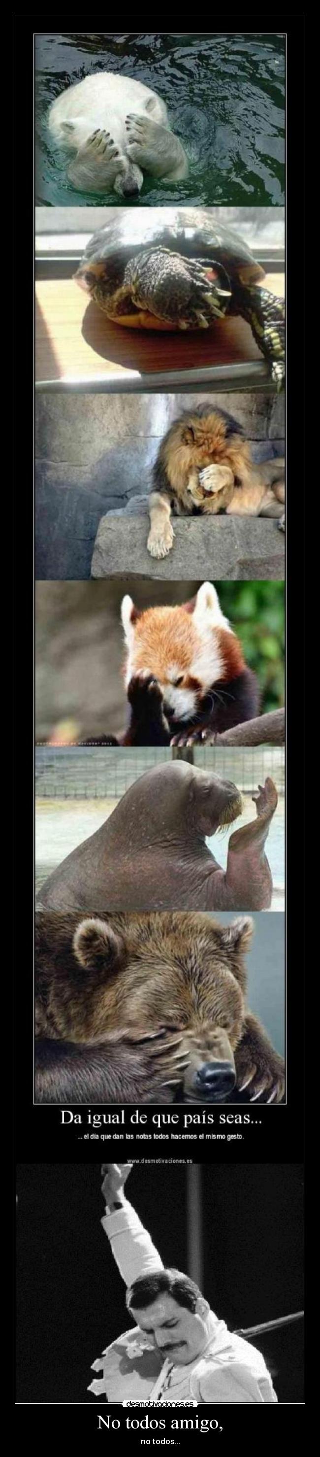 No todos amigo, - no todos...