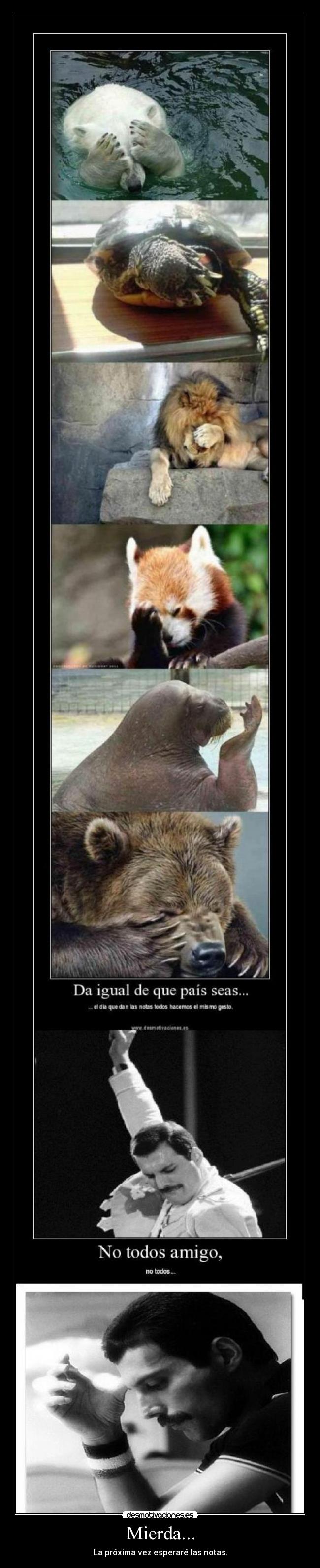 Mierda... - La próxima vez esperaré las notas.
