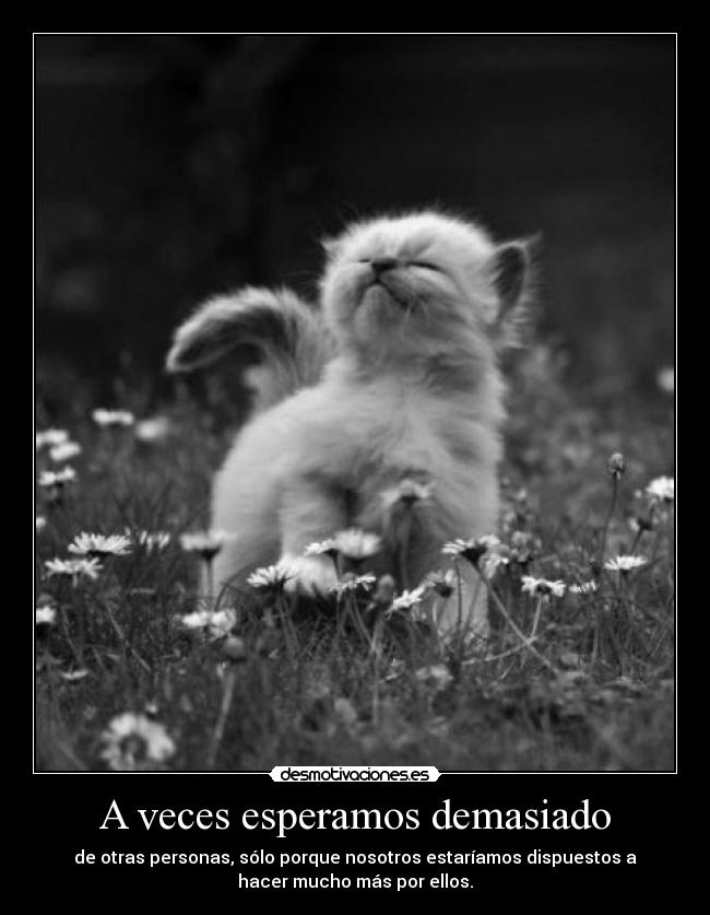 A veces esperamos demasiado - 