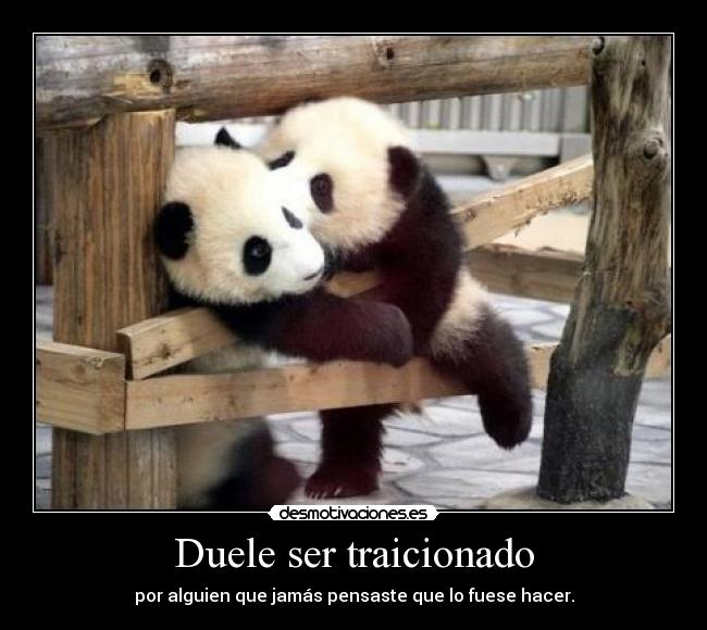 Duele ser traicionado - por alguien que jamás pensaste que lo fuese hacer.