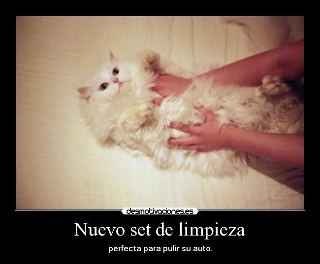 Nuevo set de limpieza -