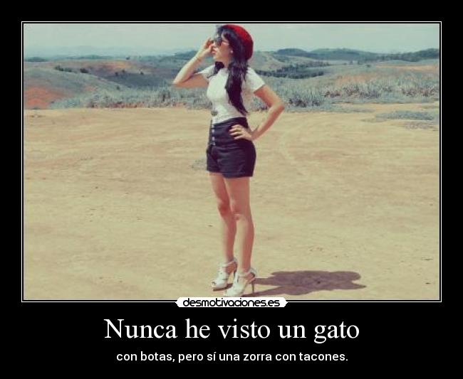 Nunca he visto un gato -