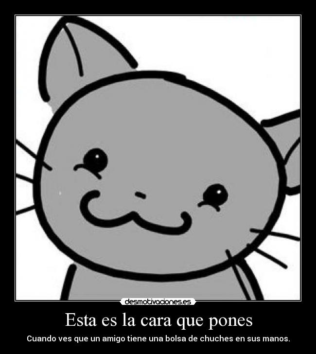 carteles gatosnya monoso amigo chuches dame argo payo desmotivaciones