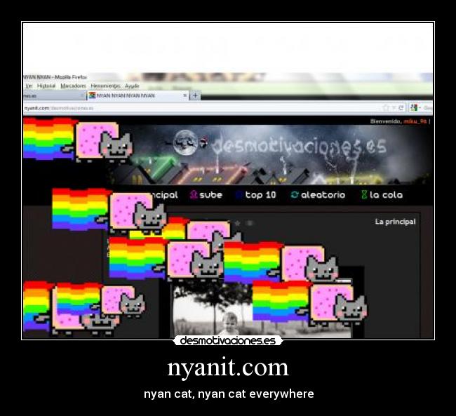 carteles nyan cat aburro lol desmotivaciones