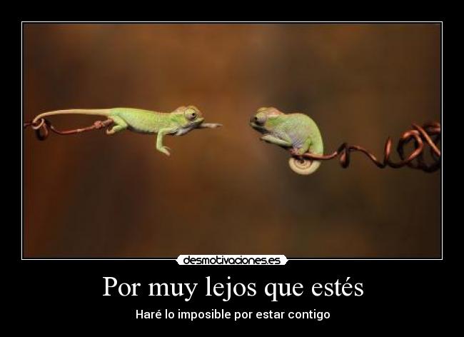 Por muy lejos que estés - 