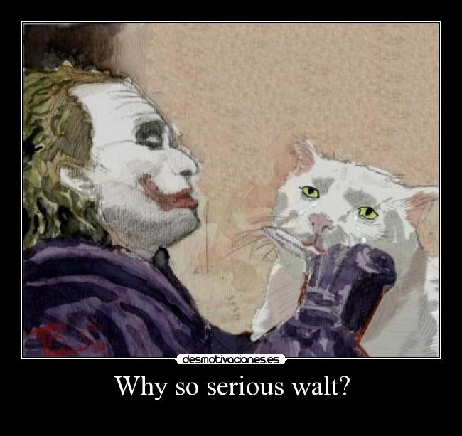 carteles poloki desmotivaciones