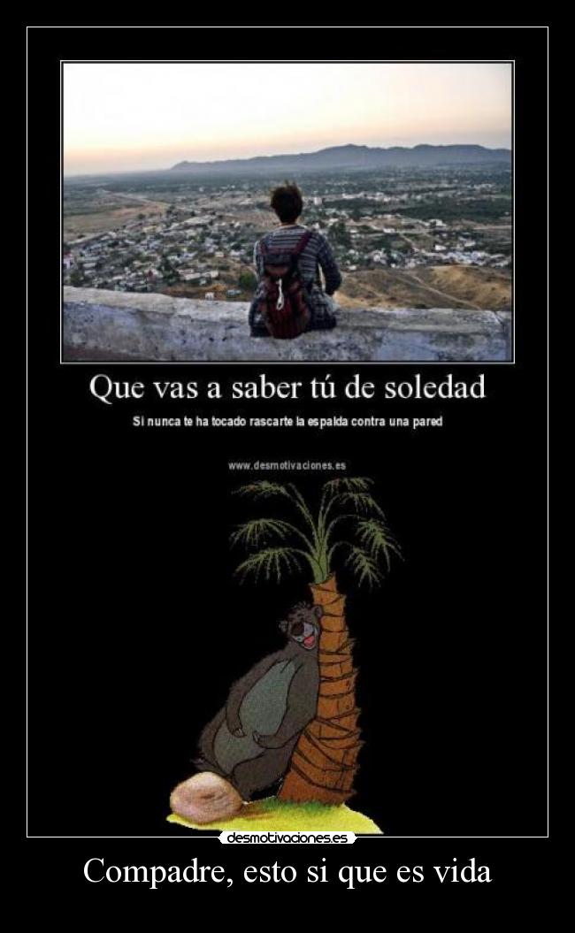 Compadre, esto si que es vida - 