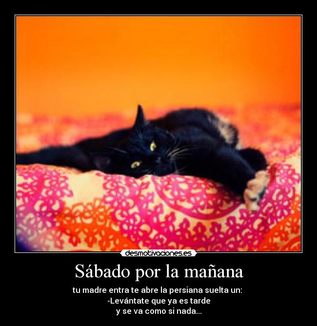 Sábado por la mañana -