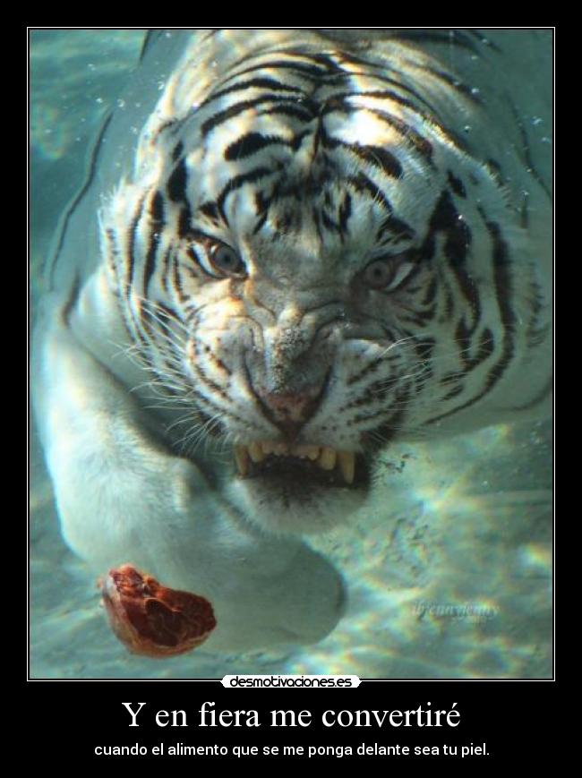 carteles estas fotos son para nada estilo pero encantaaaaaaaaaaa piel fiera alimento tigre sexo desmotivaciones