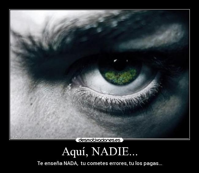 Aquí, NADIE... - Te enseña NADA, tu cometes errores, tu los pagas...