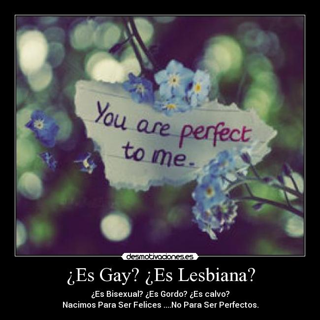 ¿Es Gay? ¿Es Lesbiana? - 