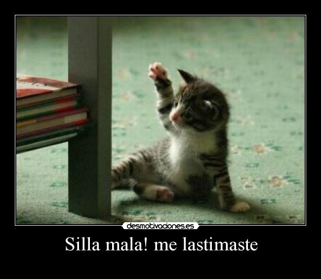Silla mala! me lastimaste - 