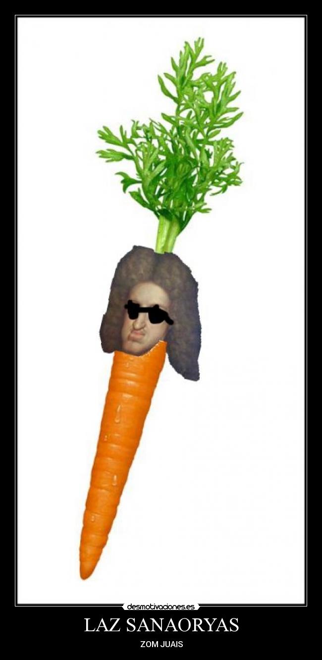 LAZ SANAORYAS - ZOM JUAIS