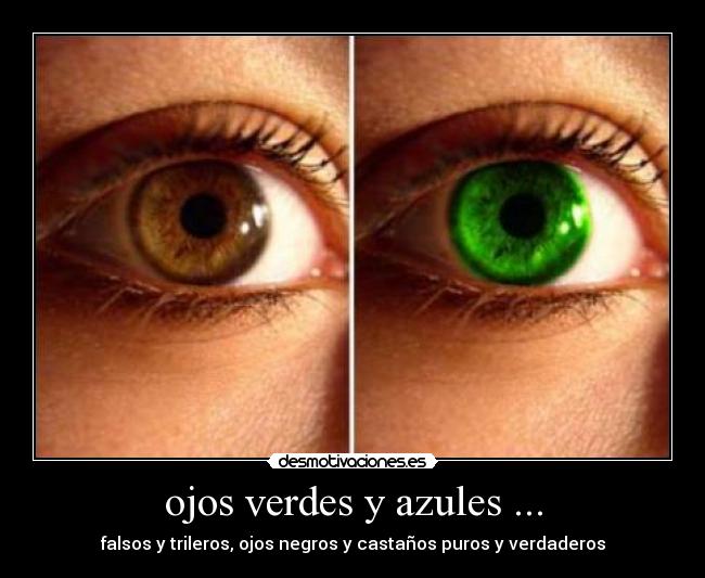 ojos verdes y azules ... - falsos y trileros, ojos negros y castaños puros y verdaderos