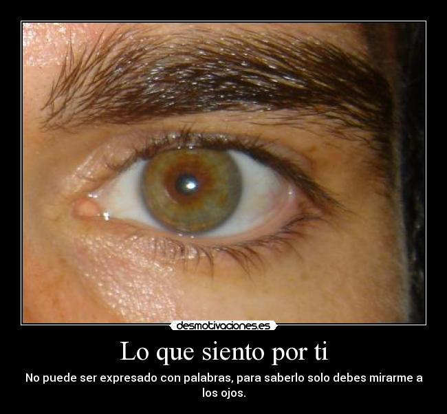 Lo que siento por ti -