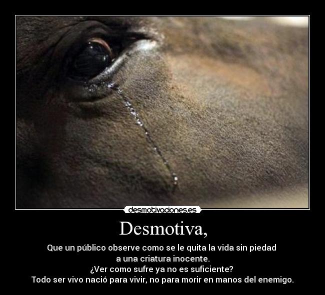 carteles mas tauromaquia desmotivaciones