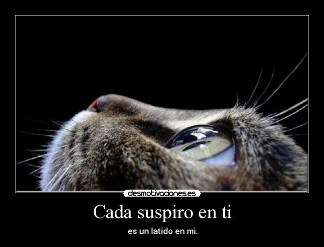 Cada suspiro en ti - 