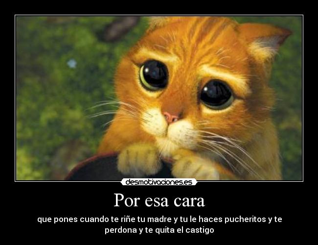 Por esa cara - que pones cuando te riñe tu madre y tu le haces pucheritos y te
perdona y te quita el castigo
