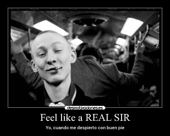 Feel like a REAL SIR - 