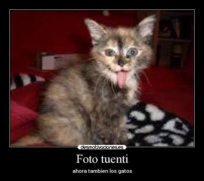 Foto tuenti - ahora tambien los gatos