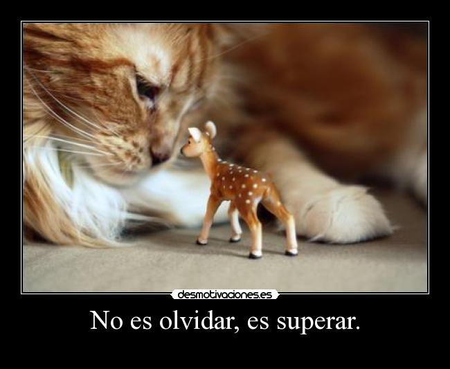 No es olvidar, es superar. -