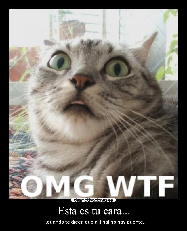 Esta es tu cara... - ...cuando te dicen que al final no hay puente.