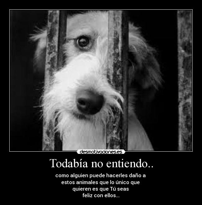 carteles tuenti facebook desmotivaciones