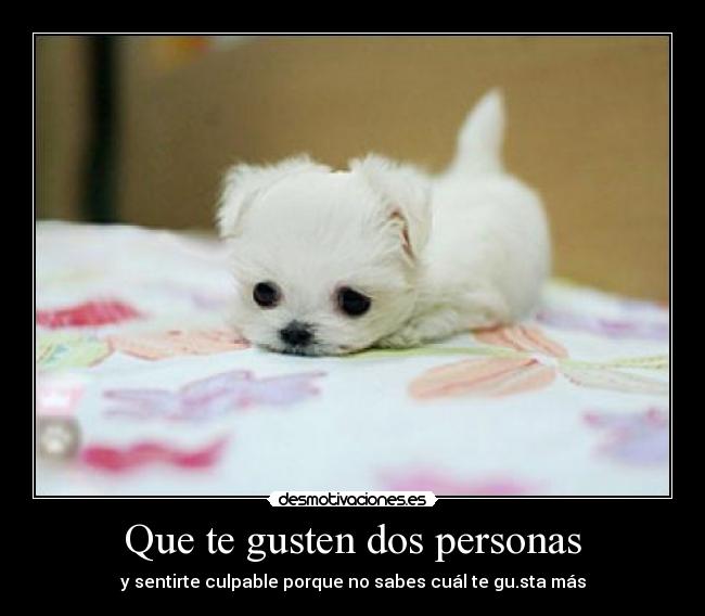 Que te gusten dos personas - y sentirte culpable porque no sabes cuál te gu.sta más