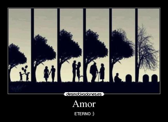Amor - 