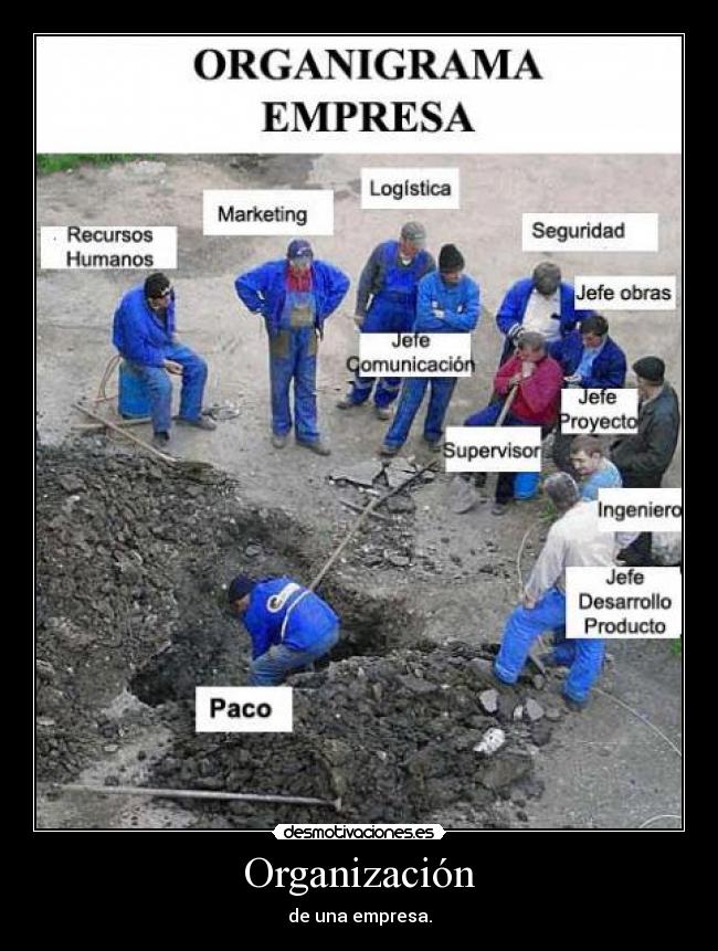 Organización -