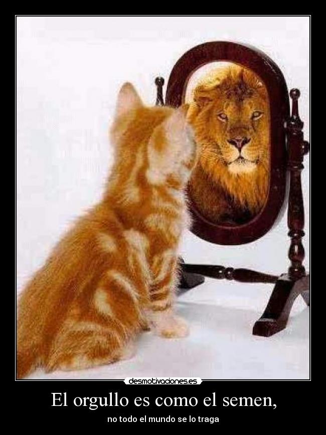 carteles looooooooool jajaja viva betis ostia puta desmotivaciones