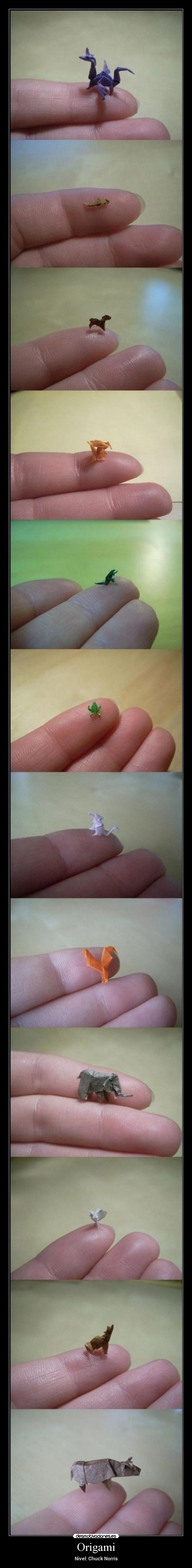 carteles origami chuck norris desmotivaciones