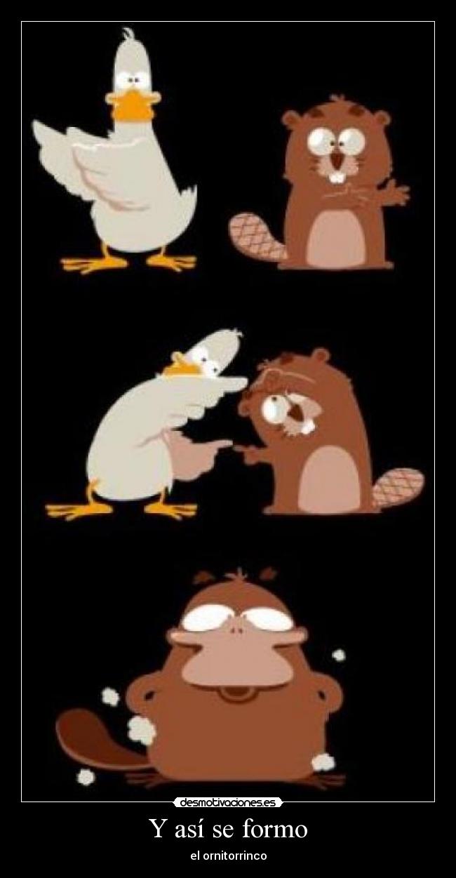 Y así se formo - el ornitorrinco