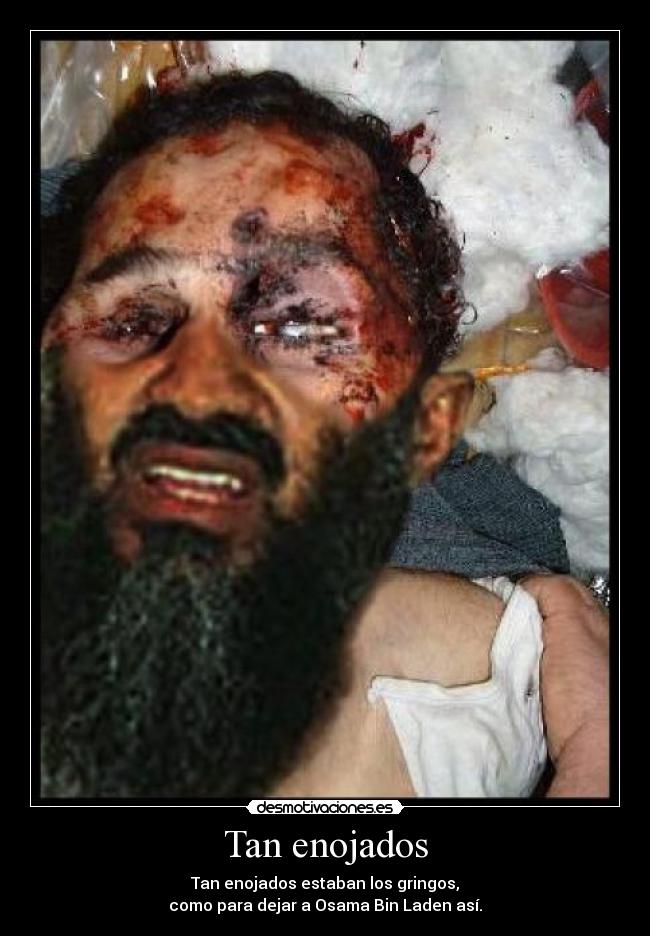 FOTOS MUERTE DE SADAN fotos muerte de sadan: