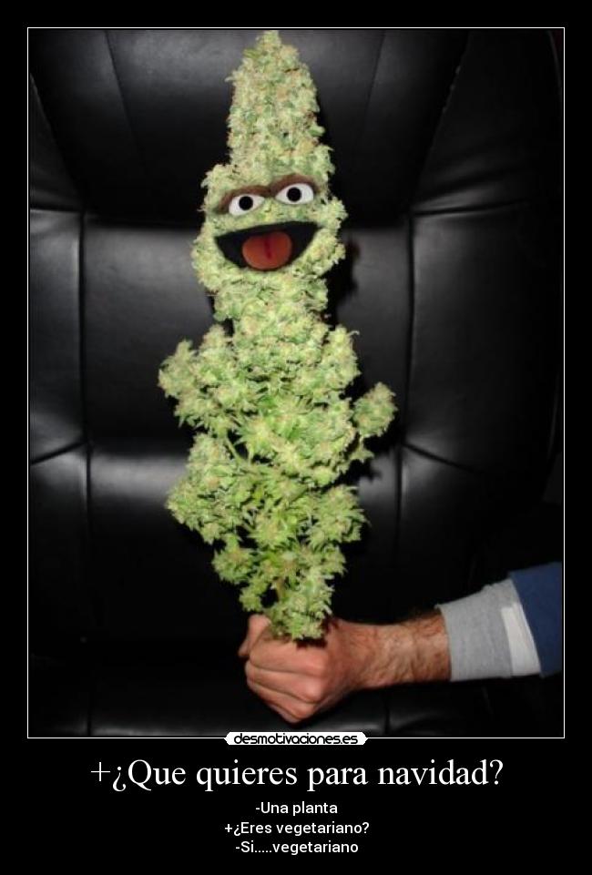 +¿Que quieres para navidad? - -Una planta
+¿Eres vegetariano?
-Si.....vegetariano