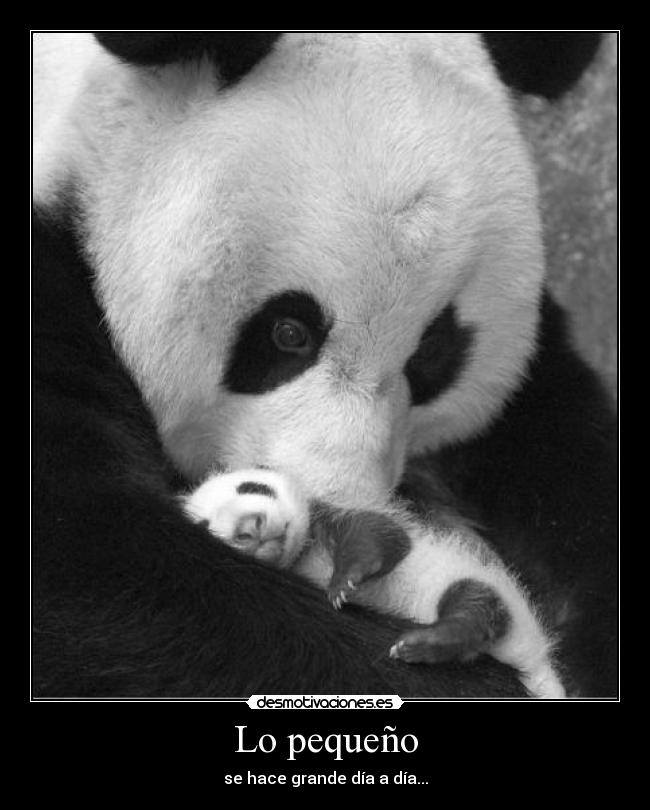 Lo pequeño - 