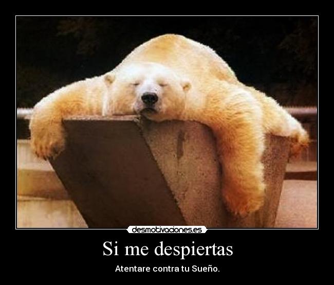 Si me despiertas -