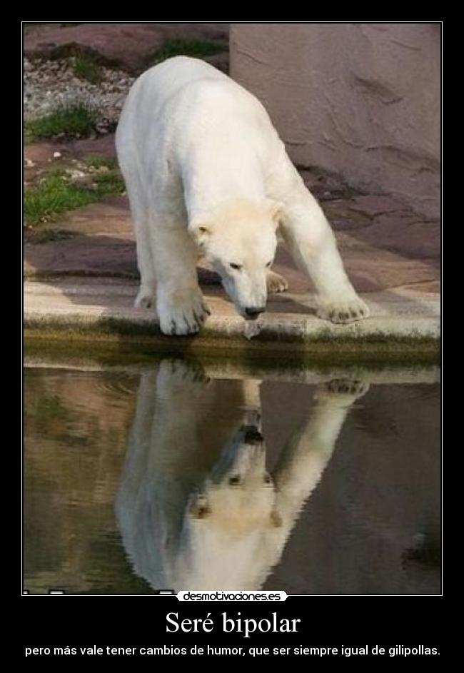 Seré bipolar -