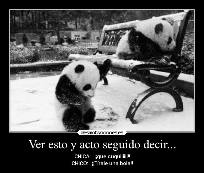 Ver esto y acto seguido decir... - 