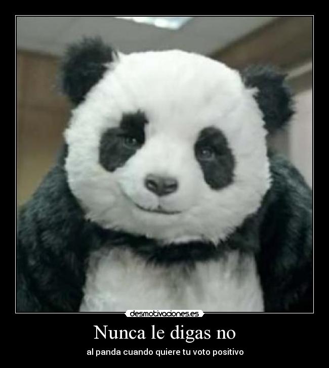 Nunca le digas no - 
