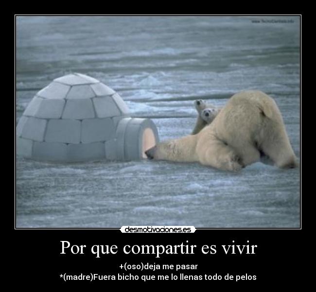 carteles por esas madres las que les importa tener todo orden limpio desmotivaciones